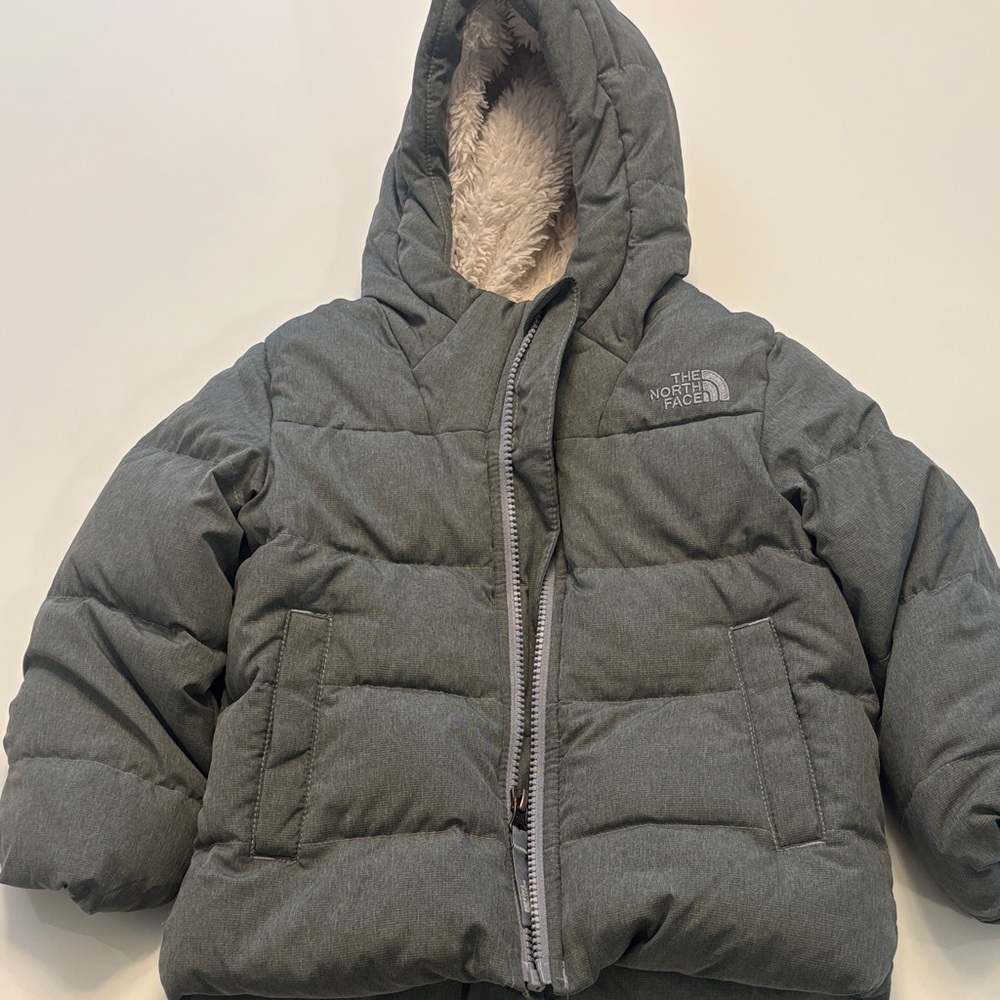 The North Face Hooded Puffer Jacket in Gray